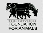 snyder foundation