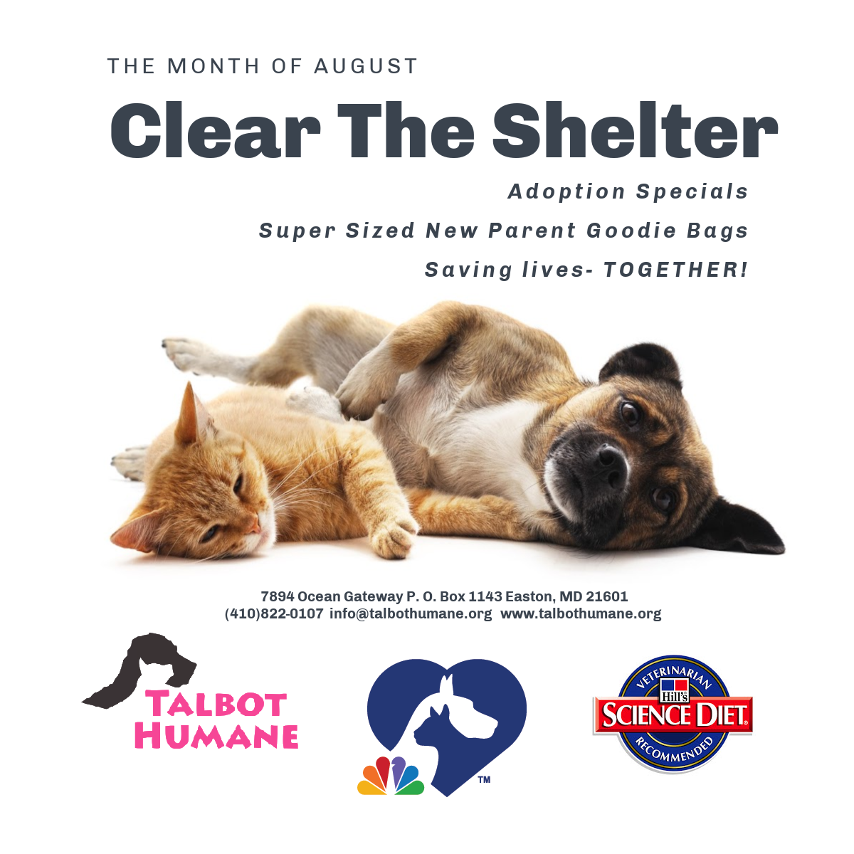 Clear the Shelter August 2020 | Talbot Humane